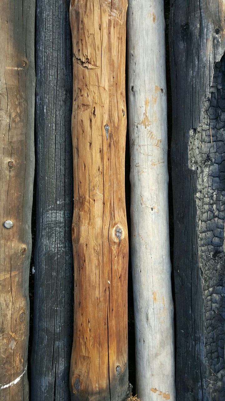 Burned logs piled from Spanish forest after Summer fires