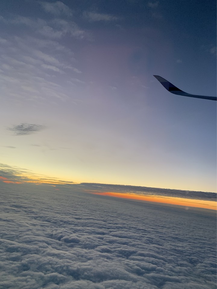 wings