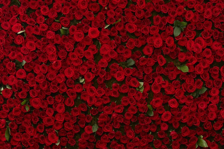 for you. ....