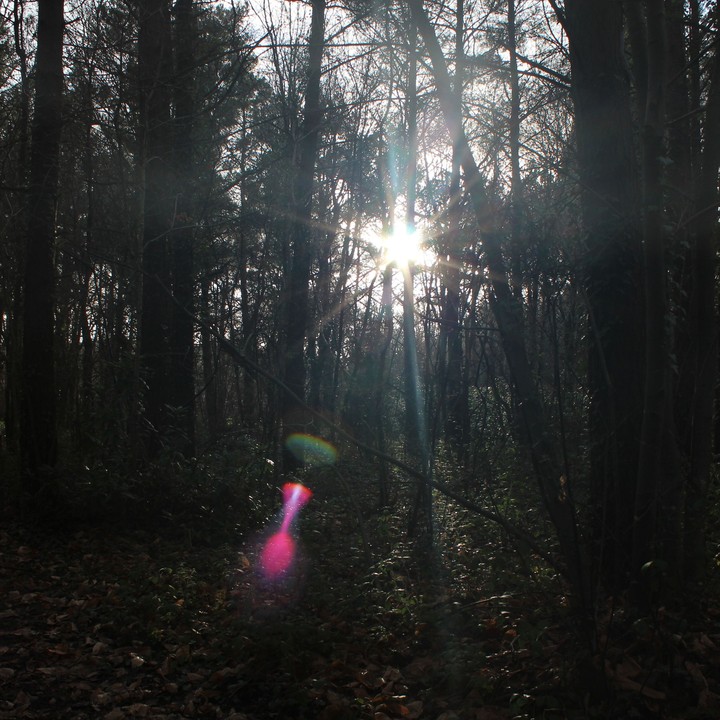 Light in the Dark