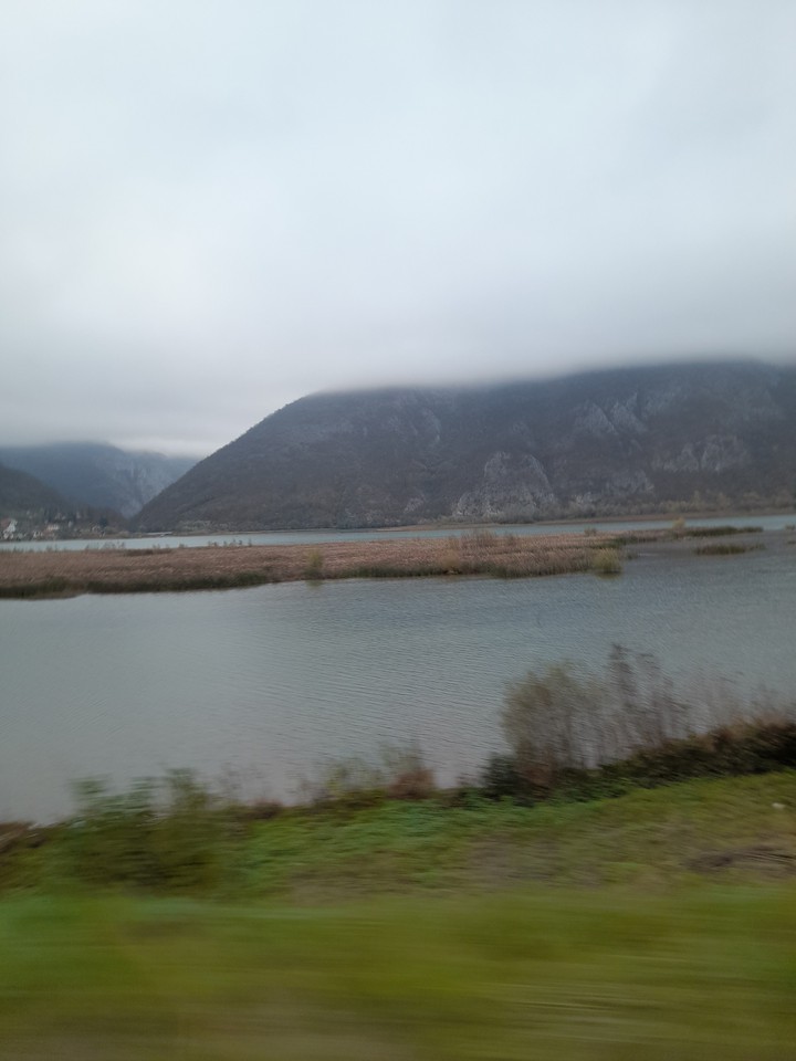 divič