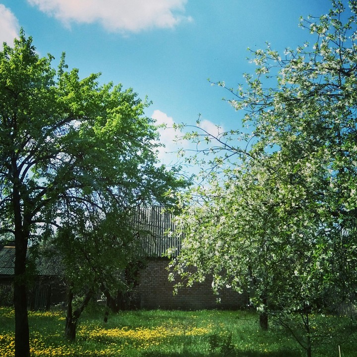 Belarus,  Borisov