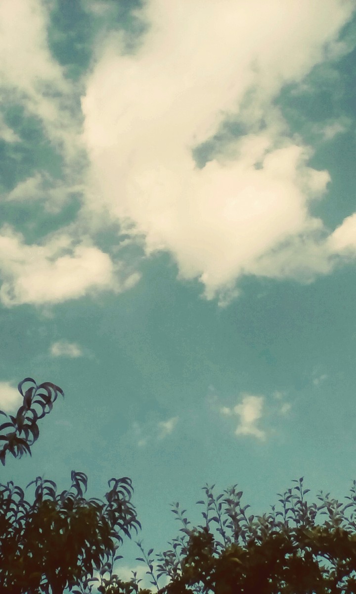 summersky