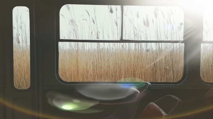tramvay