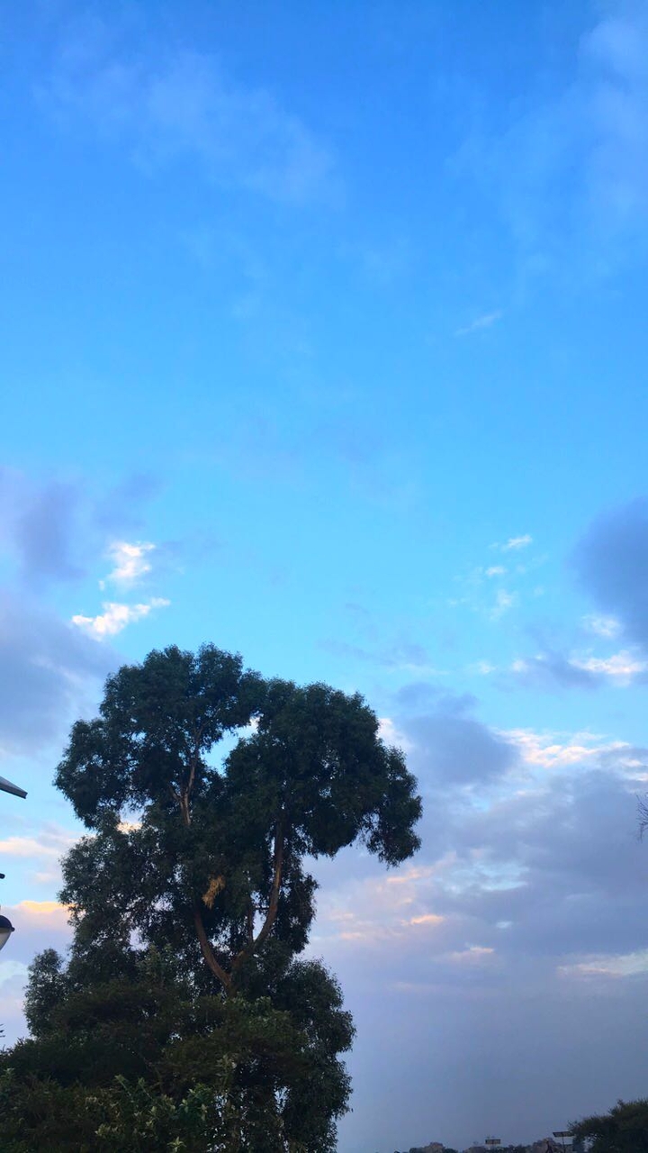 sky 