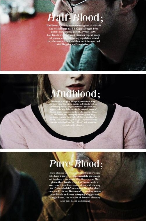 HalfBlood &  MudBlood  &  PureBlood ❤