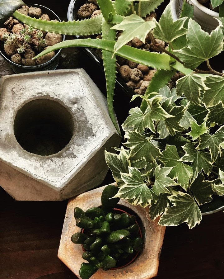 Hygge friends