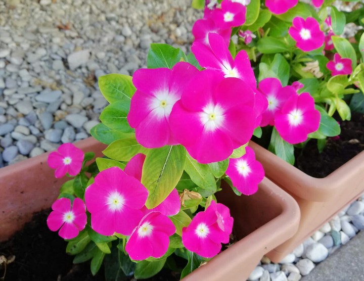 ♡
