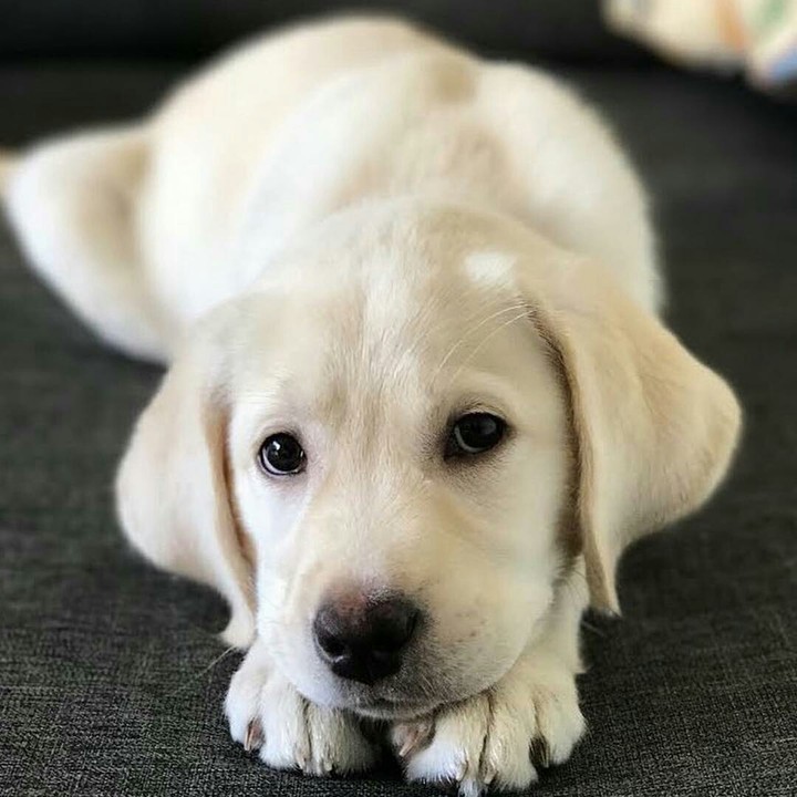 ❤