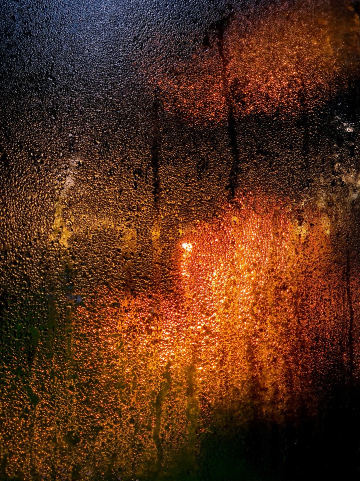 Burning droplets