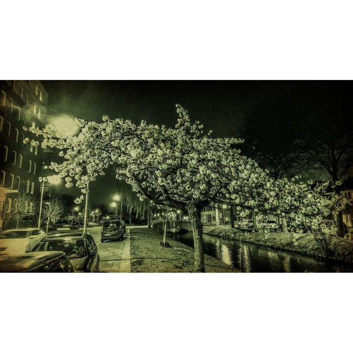 At night