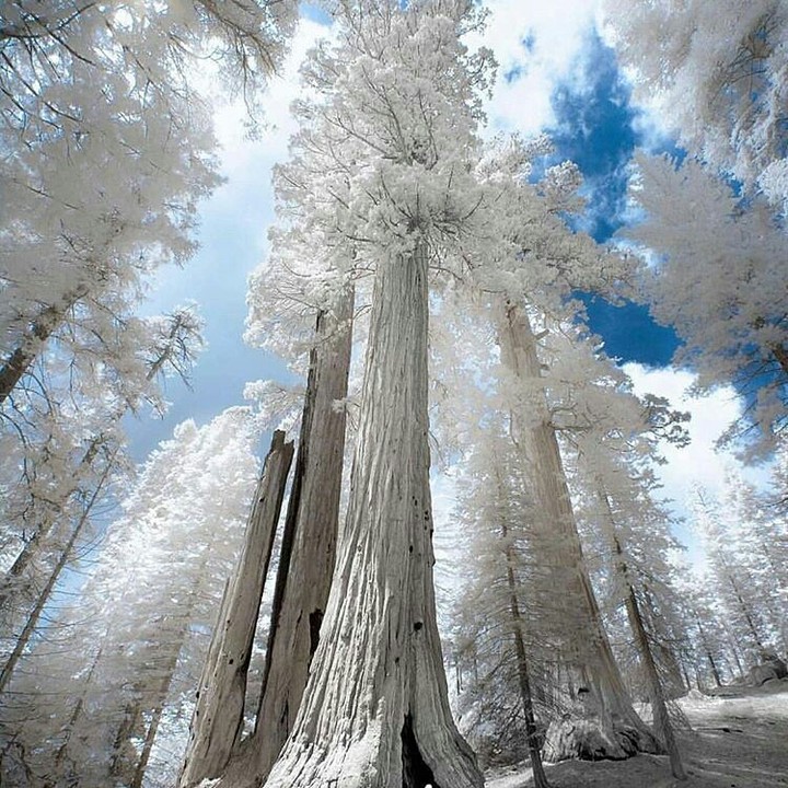 nature