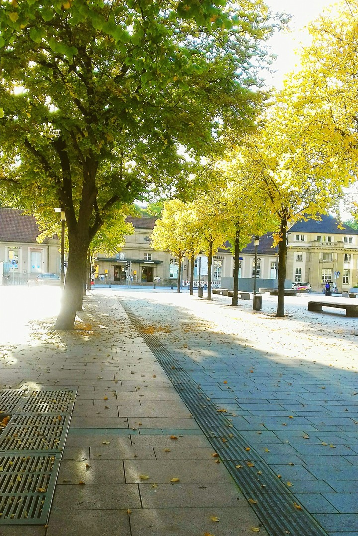 Autumn is coming