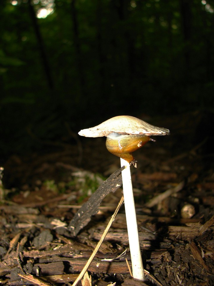 cachette parfaite