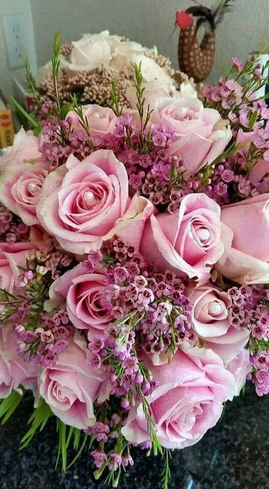 Roses