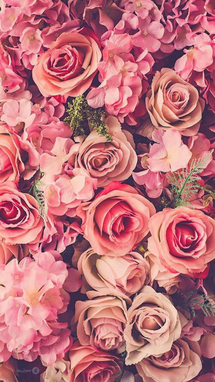 bunches