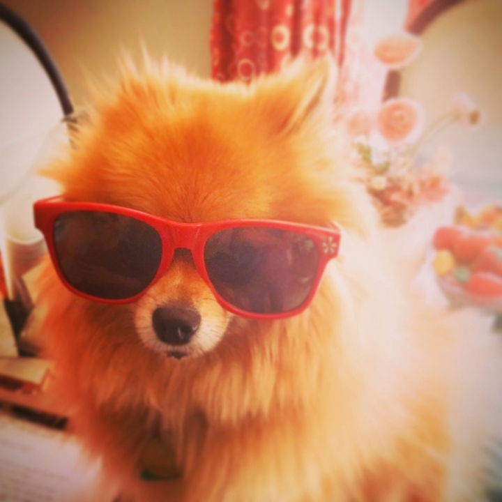 Lucy in Shades