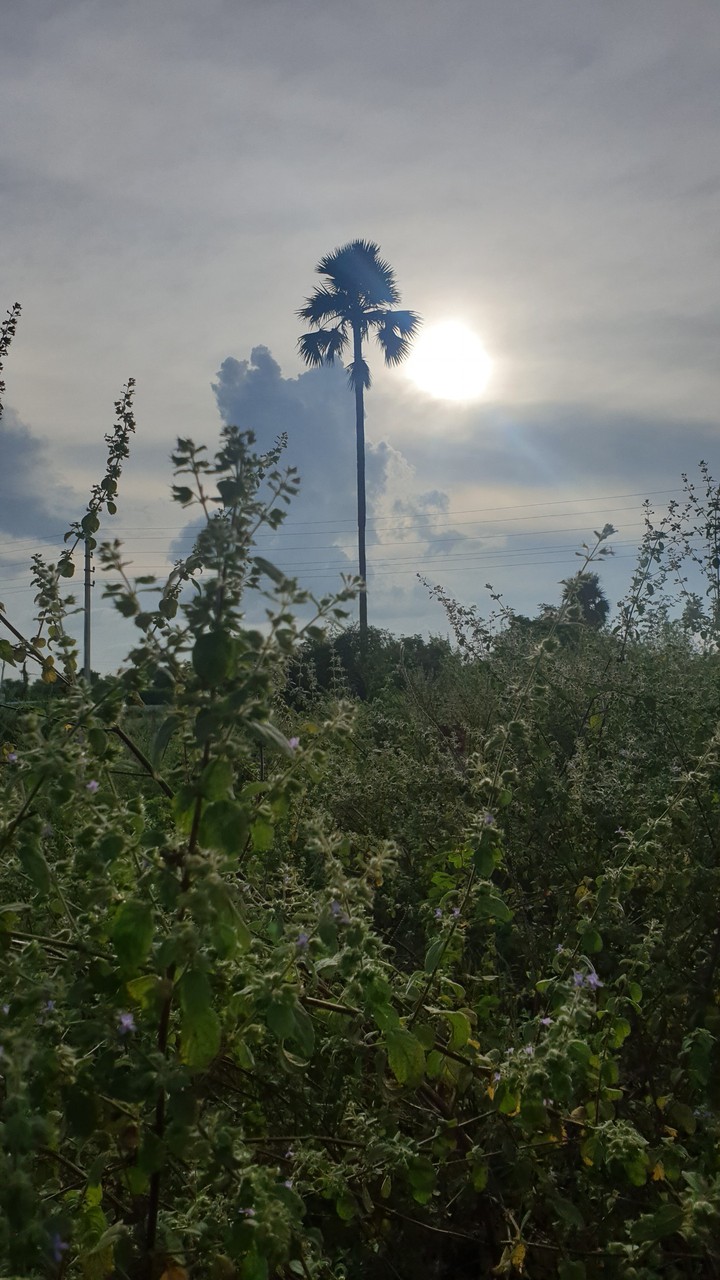 sun set