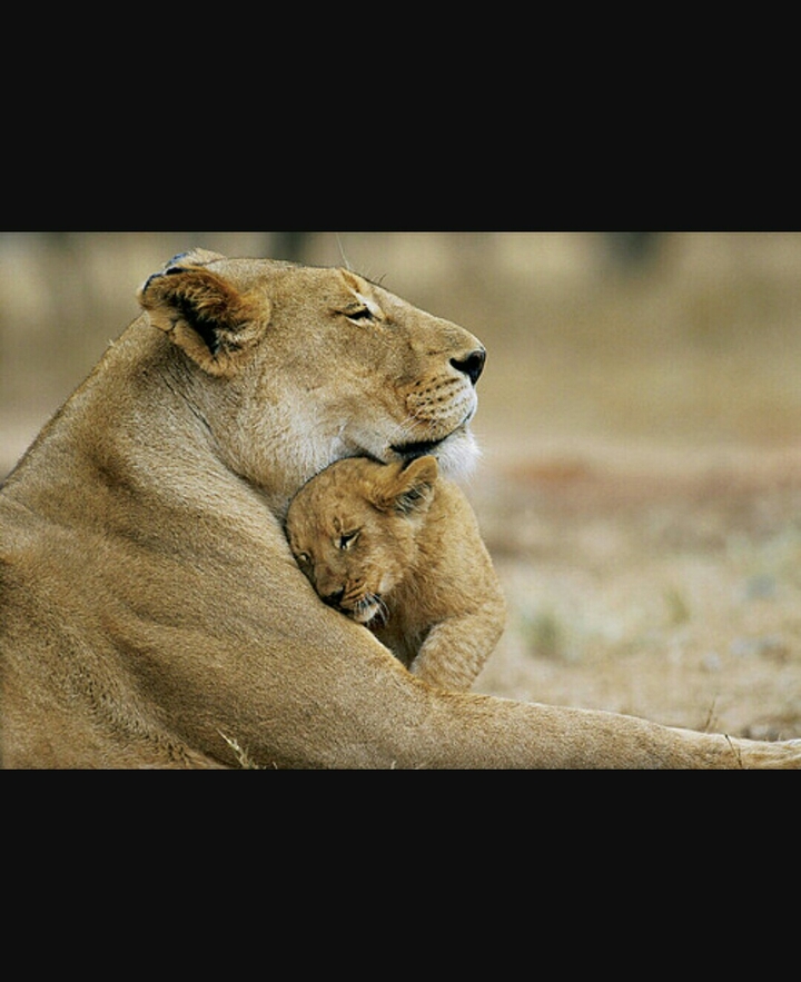 unconditional love