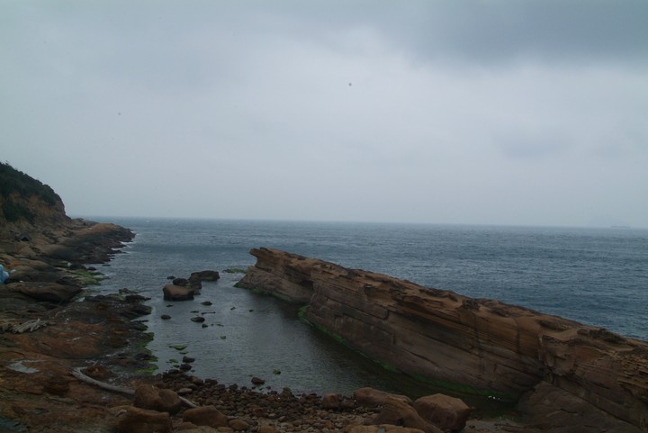 Scenics