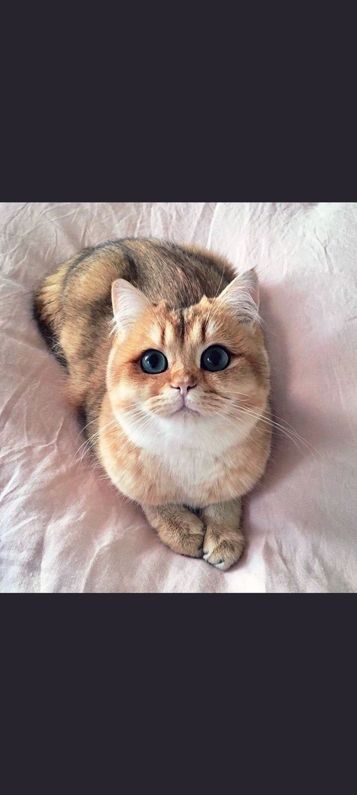 cute