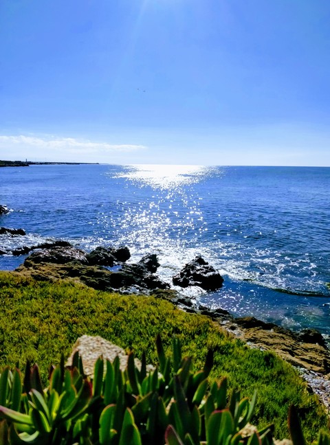my sea