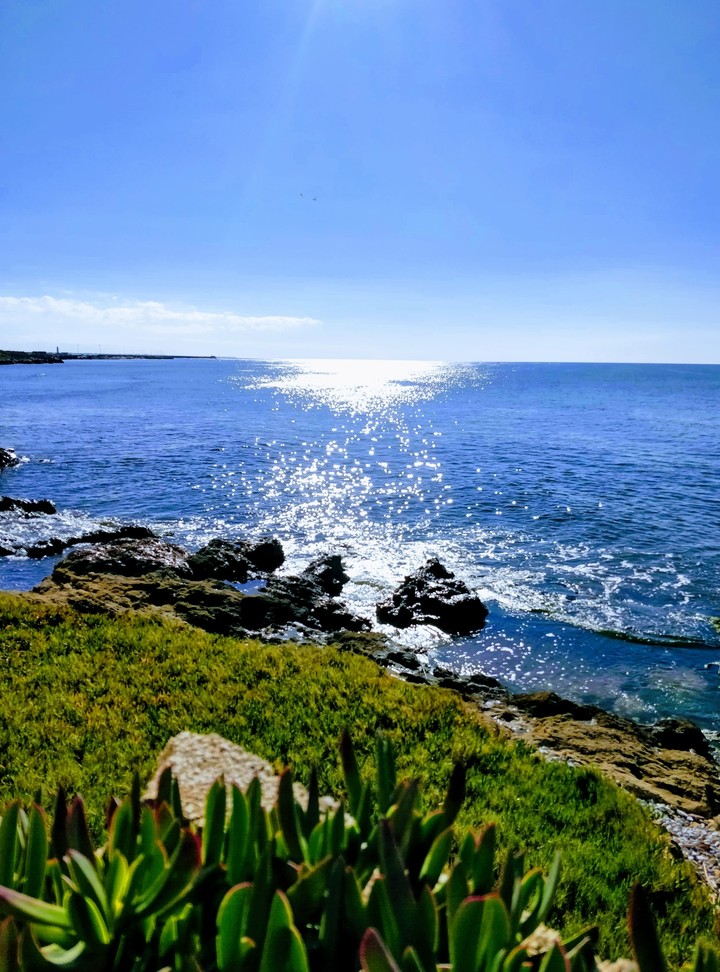 my sea