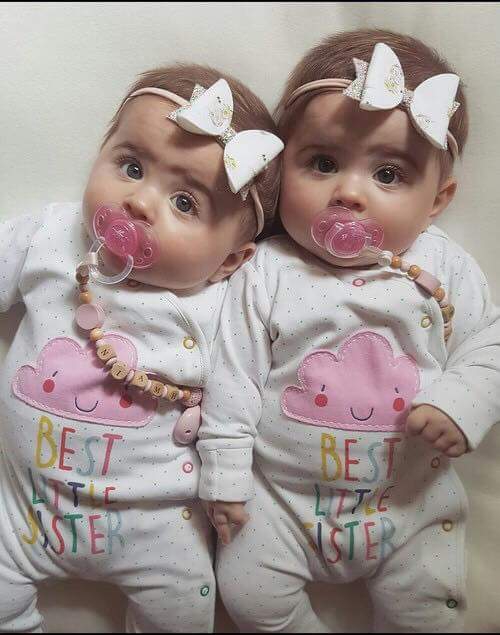 twin