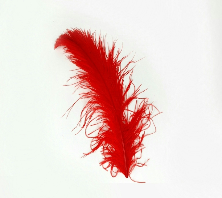 A Feather