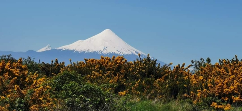al sur del mundo