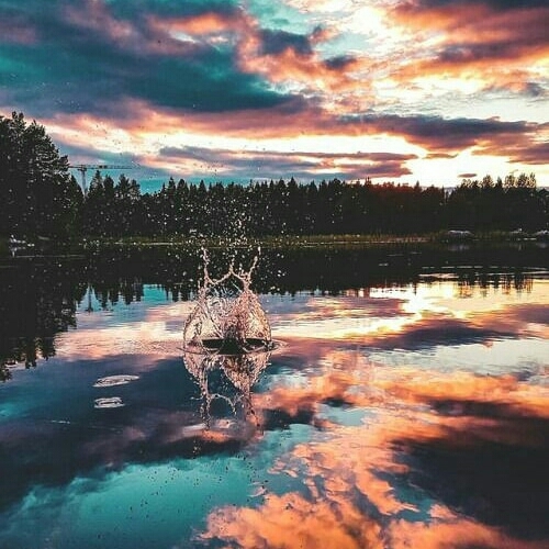 nature ❤