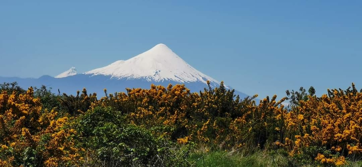 al sur del mundo
