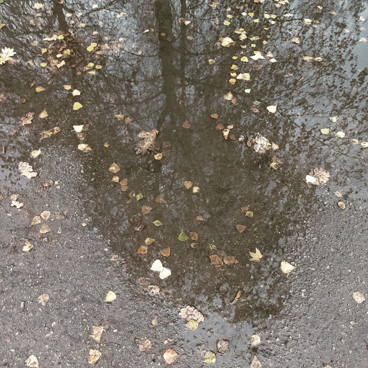 #Україна #осінь #autumn