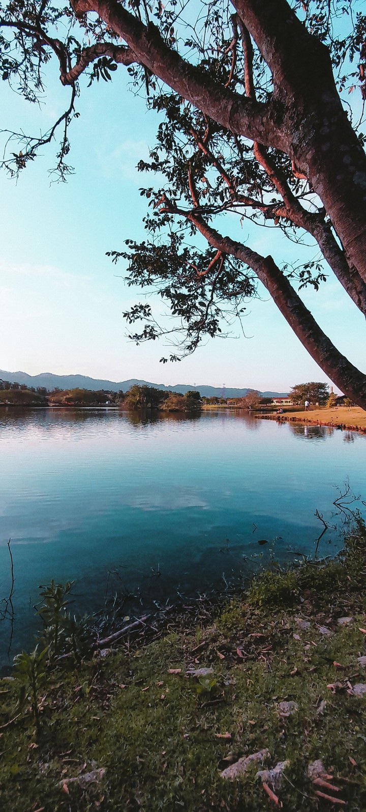 Natureza