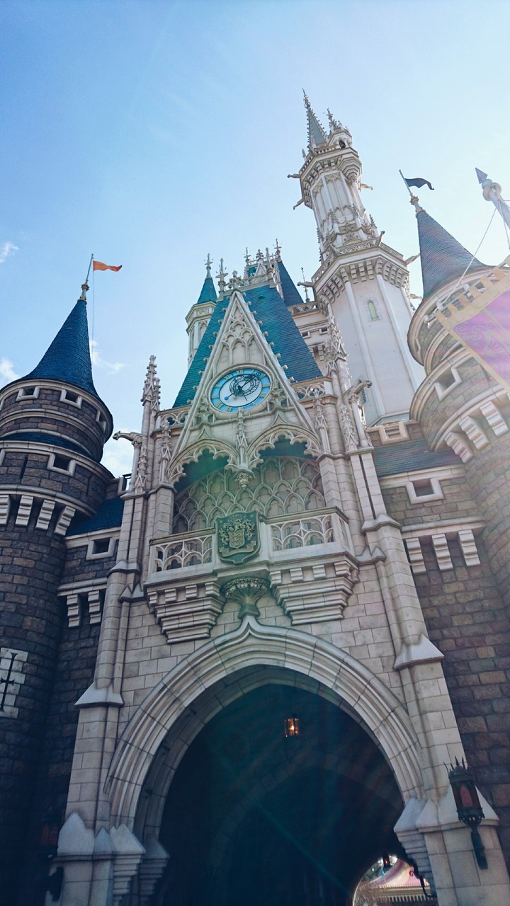 Cinderella castle