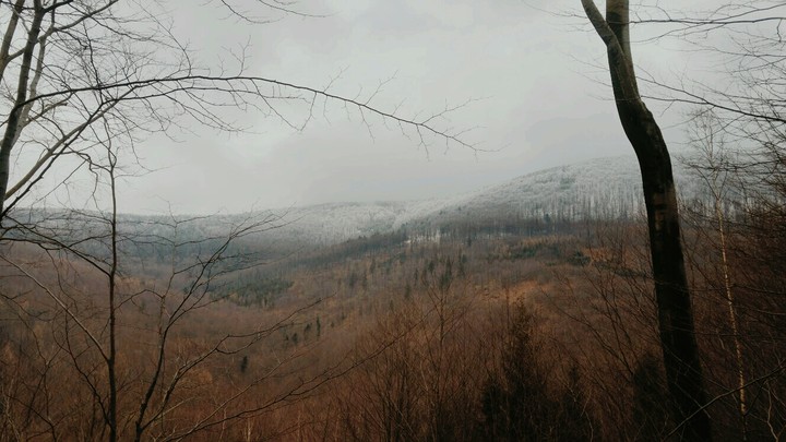 waiting for spring