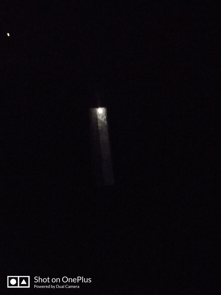 The Night Companion