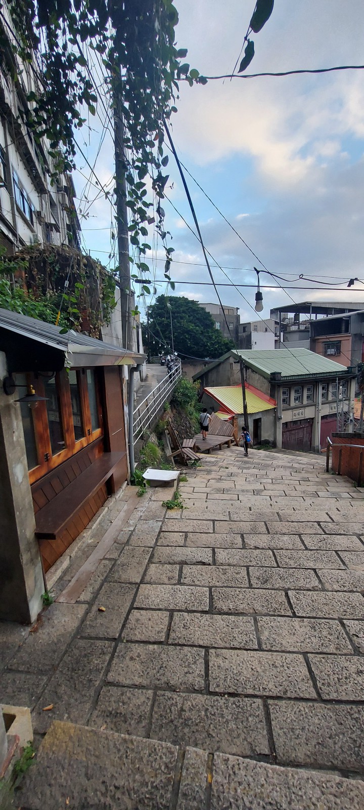 cats alley