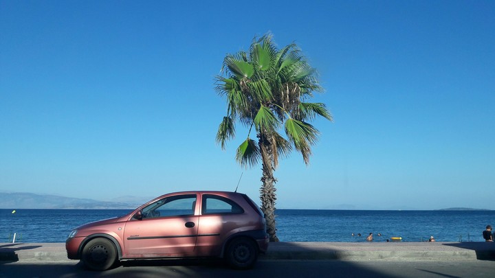 car and palm