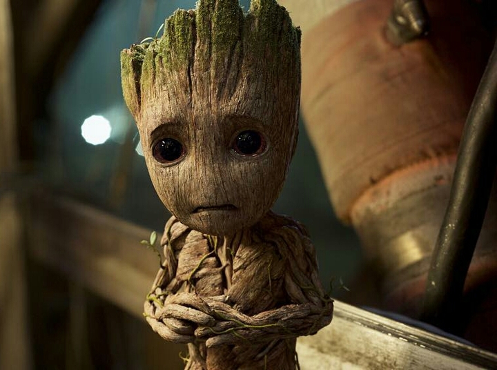 GROOT