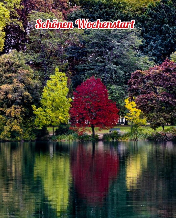Schönen Wochenstart