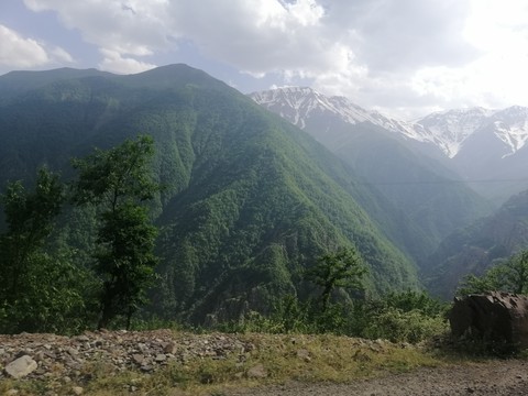 دلیر مازندران