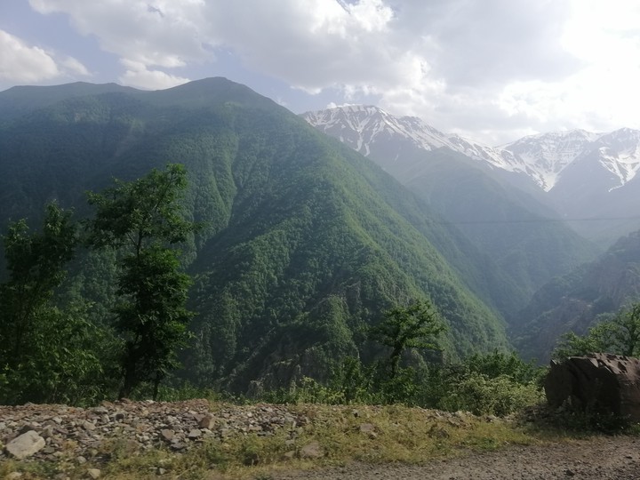 دلیر مازندران