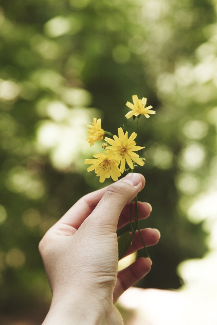 nature and spring