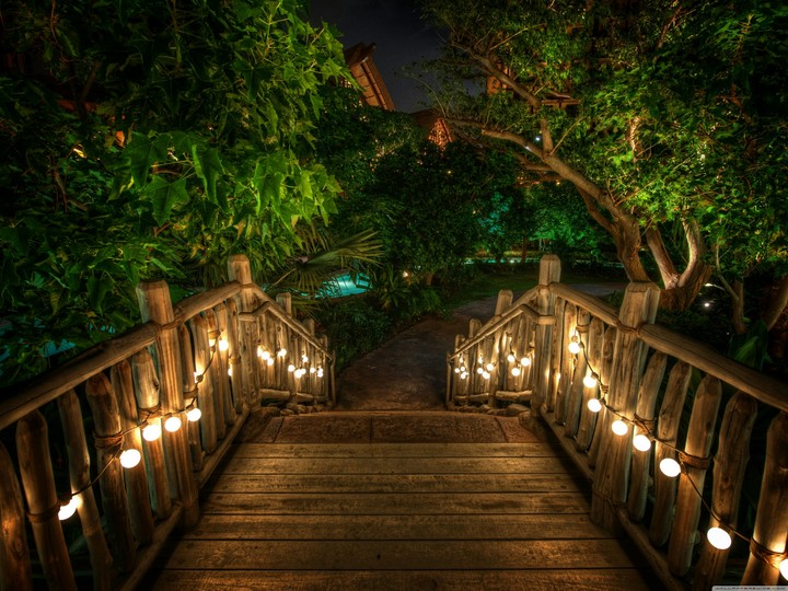 wooden bridge