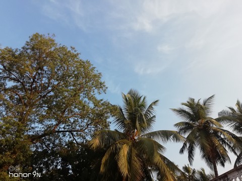 Blue sky