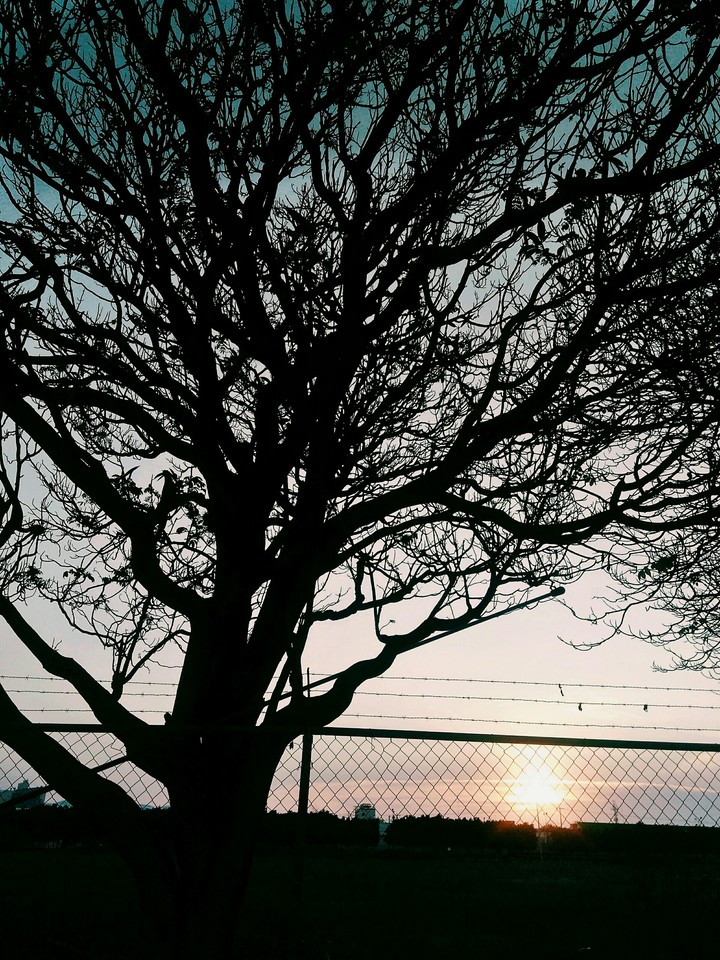 Otoño