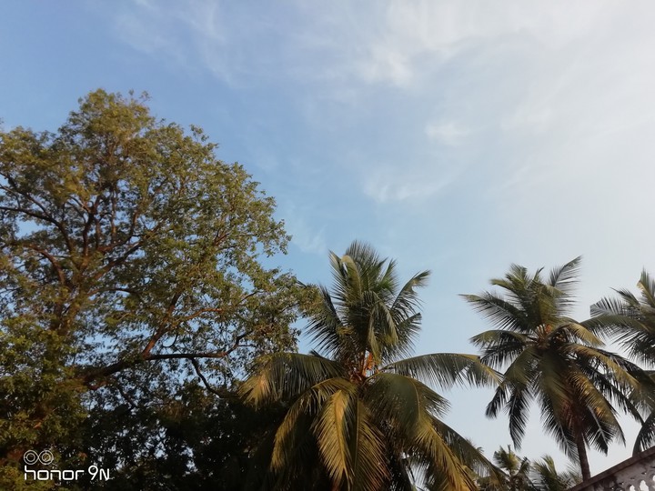 Blue sky