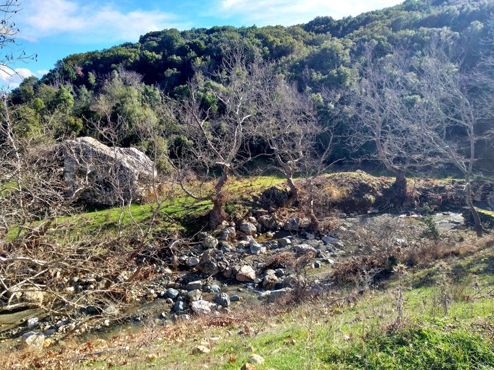 Nature