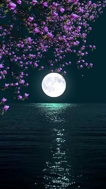 Breeze, flowers, moon